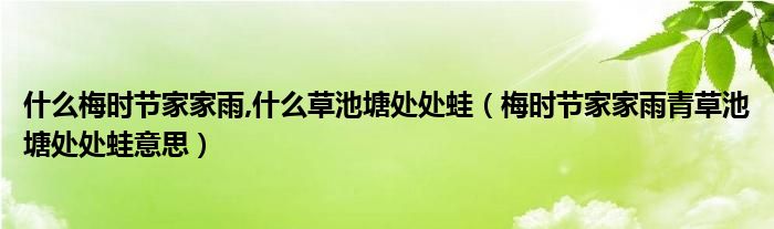 什么梅时节家家雨,什么草池塘处处蛙（梅时节家家雨青草池塘处处蛙意思）