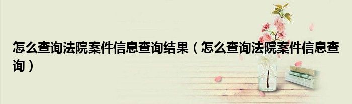 怎么查询法院案件信息查询结果（怎么查询法院案件信息查询）