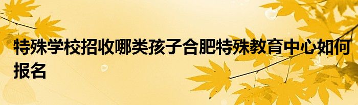 特殊学校招收哪类孩子合肥特殊教育中心如何报名