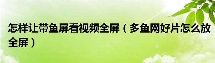 怎样让带鱼屏看视频全屏（多鱼网好片怎么放全屏）