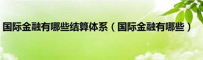 国际金融有哪些结算体系（国际金融有哪些）