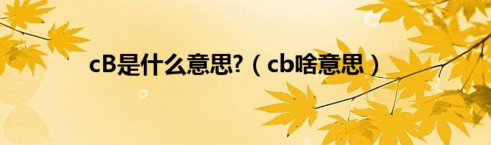 cB是什么意思?（cb啥意思）