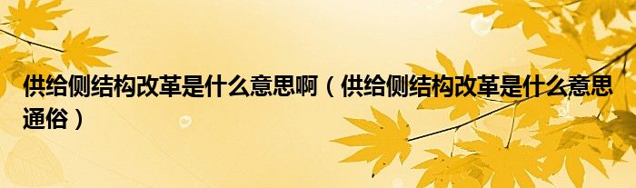 供给侧结构改革是什么意思啊（供给侧结构改革是什么意思通俗）