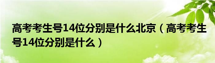 高考考生号14位分别是什么北京（高考考生号14位分别是什么）