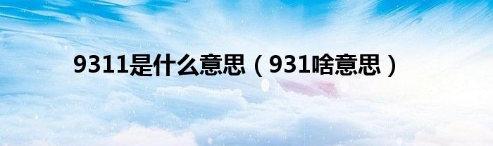 9311是什么意思（931啥意思）