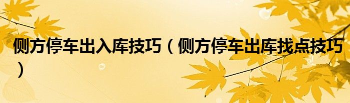 侧方停车出入库技巧（侧方停车出库找点技巧）