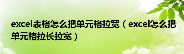 excel表格怎么把单元格拉宽（excel怎么把单元格拉长拉宽）