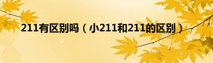 211有区别吗（小211和211的区别）