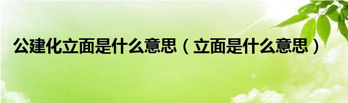 公建化立面是什么意思（立面是什么意思）