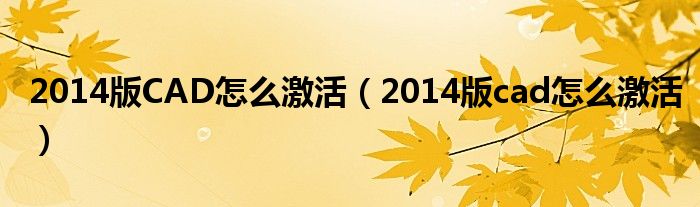 2014版CAD怎么激活（2014版cad怎么激活）