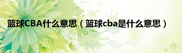 篮球CBA什么意思（篮球cba是什么意思）