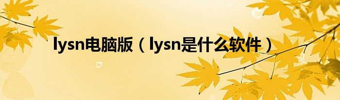 lysn电脑版（lysn是什么软件）