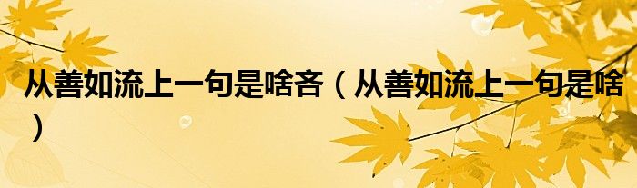 从善如流上一句是啥吝（从善如流上一句是啥）