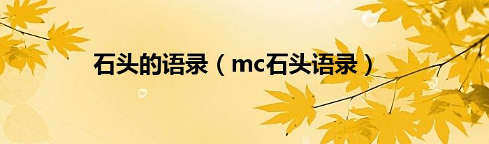 石头的语录（mc石头语录）