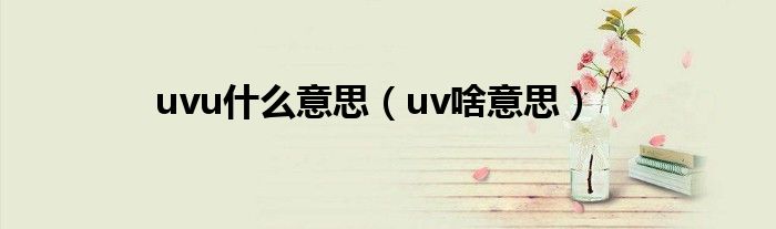 uvu什么意思（uv啥意思）