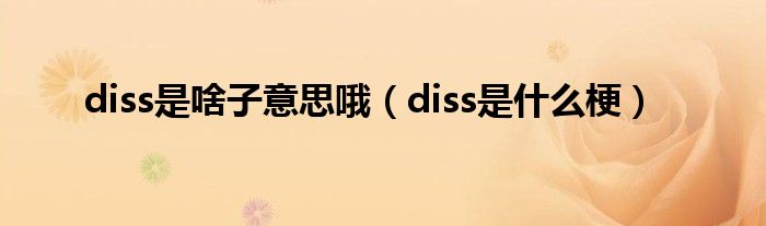 diss是啥子意思哦（diss是什么梗）