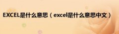 EXCEL是什么意思（excel是什么意思中文）