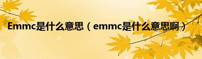 Emmc是什么意思（emmc是什么意思啊）