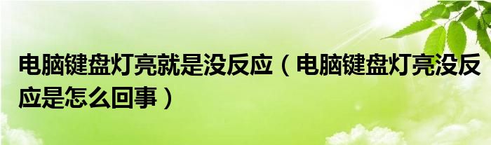 电脑键盘灯亮就是没反应（电脑键盘灯亮没反应是怎么回事）