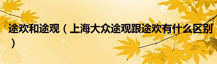 途欢和途观（上海大众途观跟途欢有什么区别）