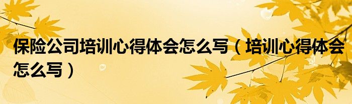 保险公司培训心得体会怎么写（培训心得体会怎么写）