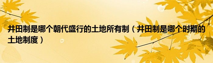 井田制是哪个朝代盛行的土地所有制（井田制是哪个时期的土地制度）