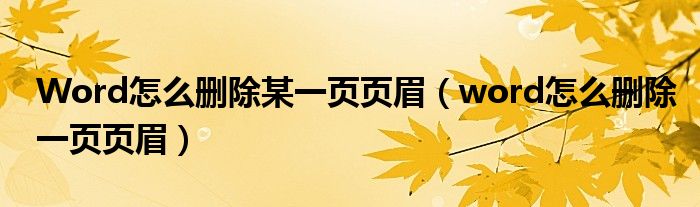 Word怎么删除某一页页眉（word怎么删除一页页眉）