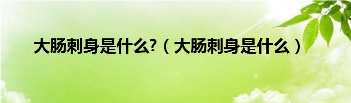 大肠刺身是什么?（大肠刺身是什么）