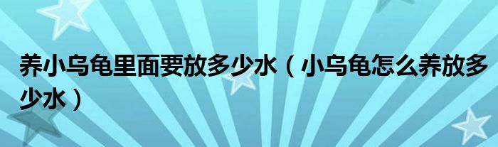 养小乌龟里面要放多少水（小乌龟怎么养放多少水）