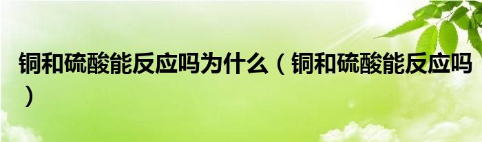 铜和硫酸能反应吗为什么（铜和硫酸能反应吗）