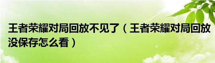 王者荣耀对局回放不见了（王者荣耀对局回放没保存怎么看）