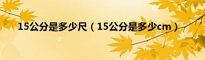 15公分是多少尺（15公分是多少cm）