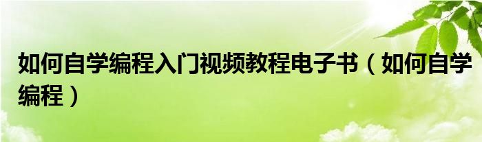 如何自学编程入门视频教程电子书（如何自学编程）