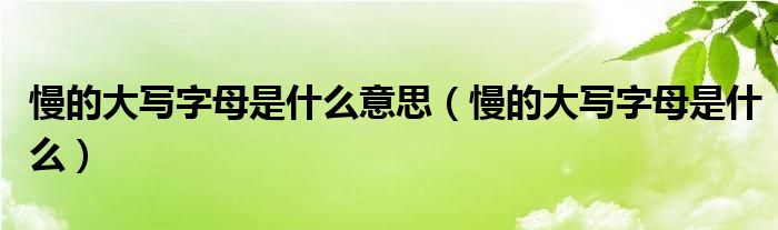 慢的大写字母是什么意思（慢的大写字母是什么）