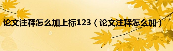 论文注释怎么加上标123（论文注释怎么加）