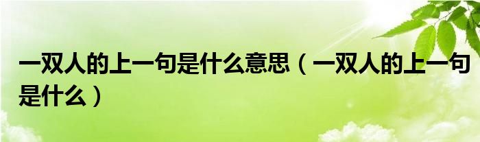 一双人的上一句是什么意思（一双人的上一句是什么）