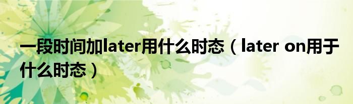 一段时间加later用什么时态（later on用于什么时态）