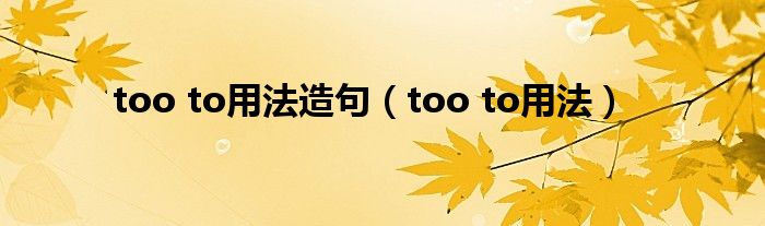 too to用法造句（too to用法）