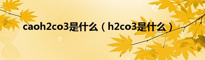 caoh2co3是什么（h2co3是什么）