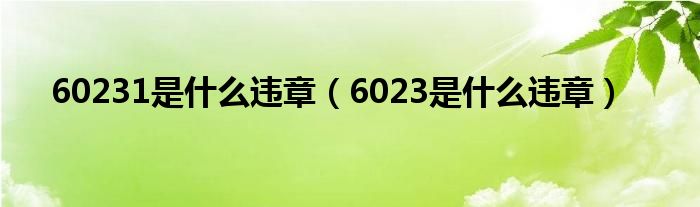 60231是什么违章（6023是什么违章）