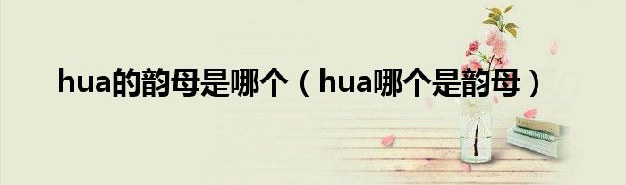 hua的韵母是哪个（hua哪个是韵母）