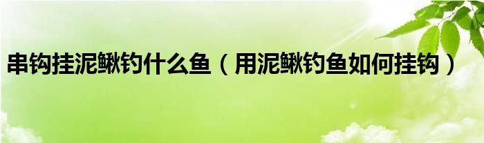 串钩挂泥鳅钓什么鱼（用泥鳅钓鱼如何挂钩）