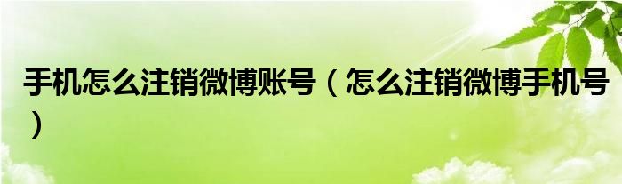 手机怎么注销微博账号（怎么注销微博手机号）