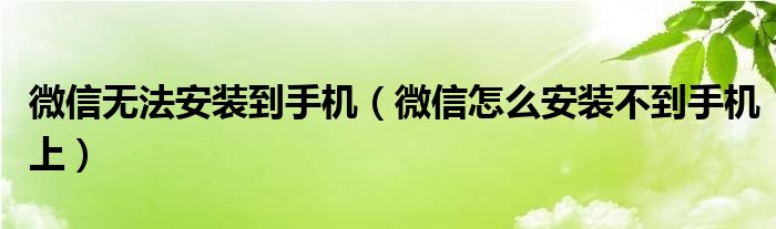 微信无法安装到手机（微信怎么安装不到手机上）