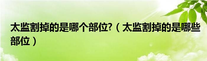 太监割掉的是哪个部位?（太监割掉的是哪些部位）