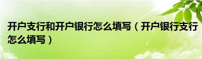 开户支行和开户银行怎么填写（开户银行支行怎么填写）