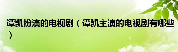 谭凯扮演的电视剧（谭凯主演的电视剧有哪些）