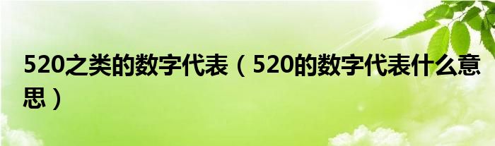 520之类的数字代表（520的数字代表什么意思）