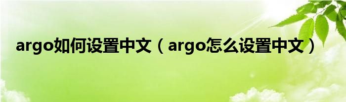 argo如何设置中文（argo怎么设置中文）