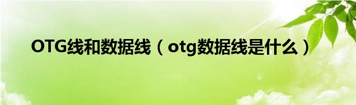 OTG线和数据线（otg数据线是什么）